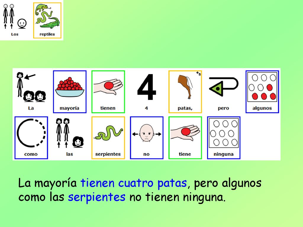 La mayoría tienen cuatro patas, pero algunos como las serpientes no tienen ninguna.