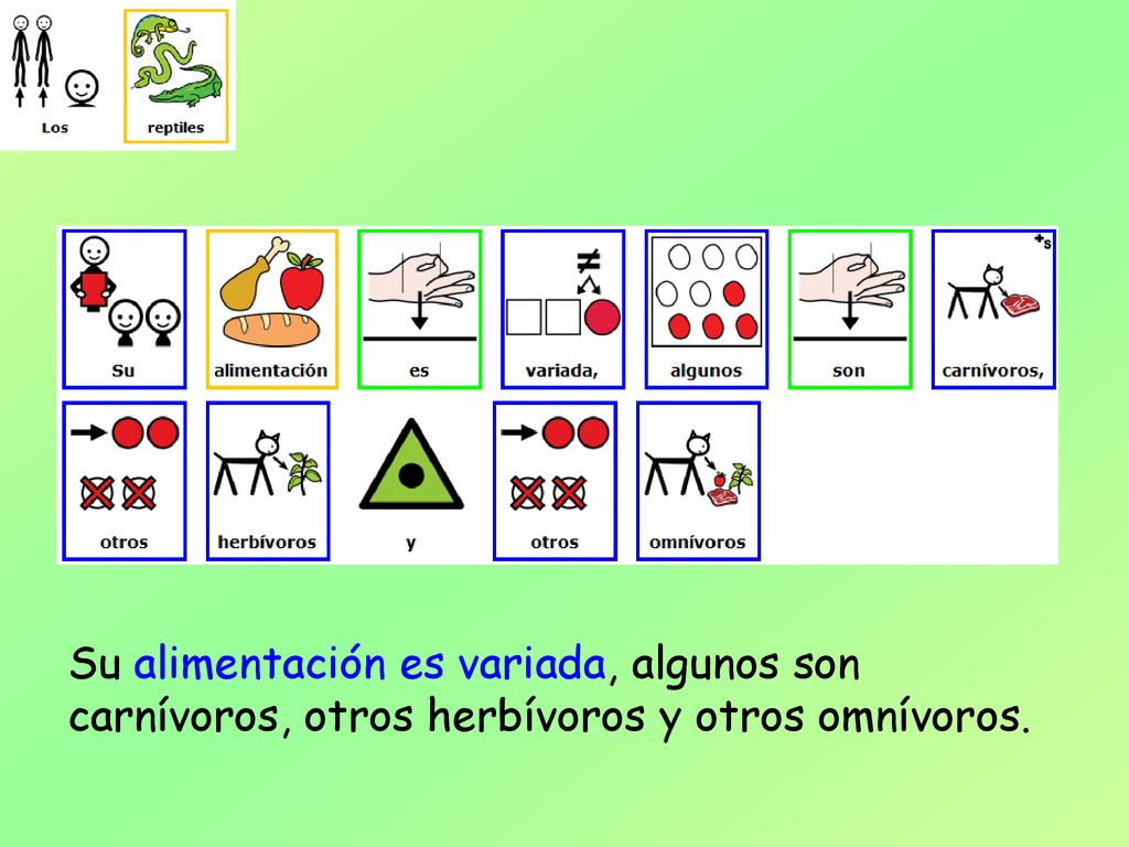 Su alimentación es variada, algunos son carnívoros, otros herbívoros y otros omnívoros.