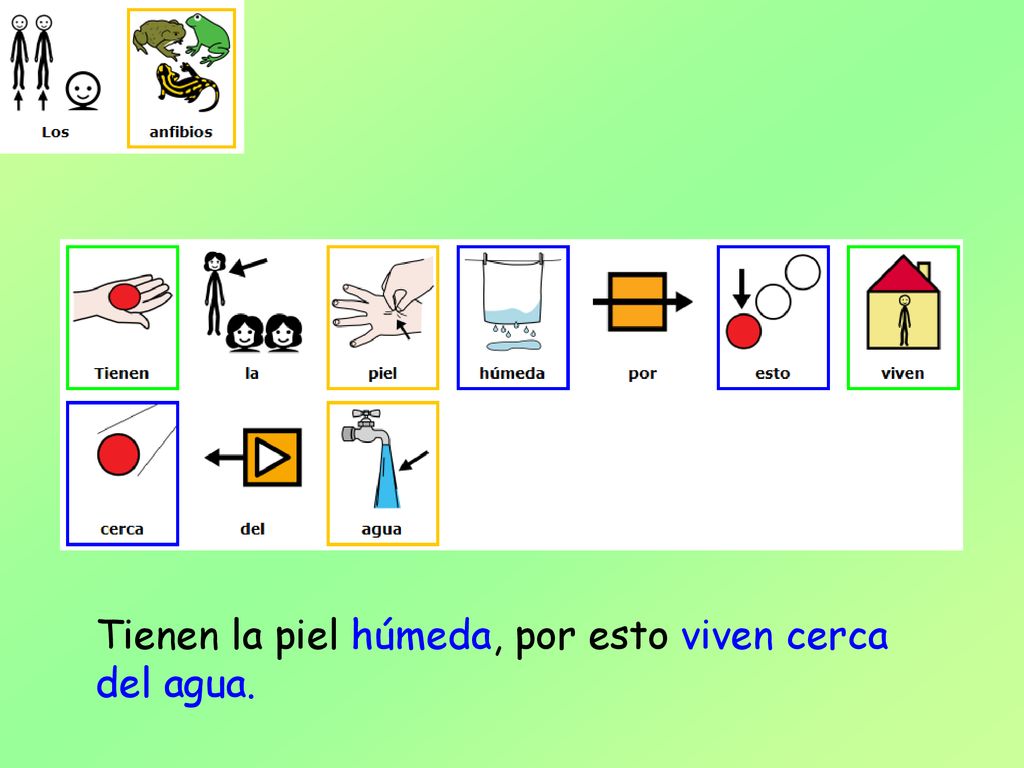 Tienen la piel húmeda, por esto viven cerca del agua.