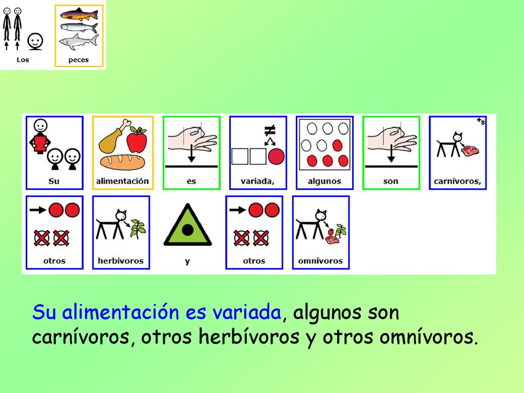 Su alimentación es variada, algunos son carnívoros, otros herbívoros y otros omnívoros.