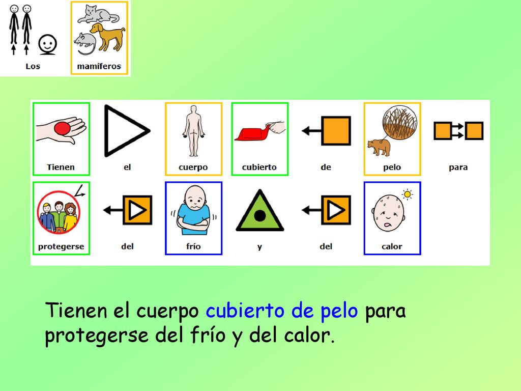 Tienen el cuerpo cubierto de pelo para protegerse del frío y del calor.