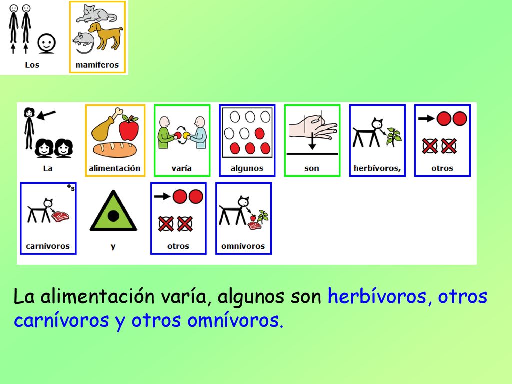 La alimentación varía, algunos son herbívoros, otros carnívoros y otros omnívoros.