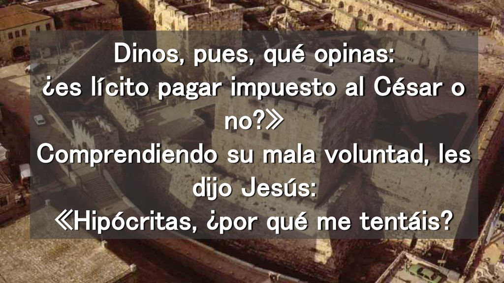 Dinos, pues, qué opinas: ¿es lícito pagar impuesto al César o no