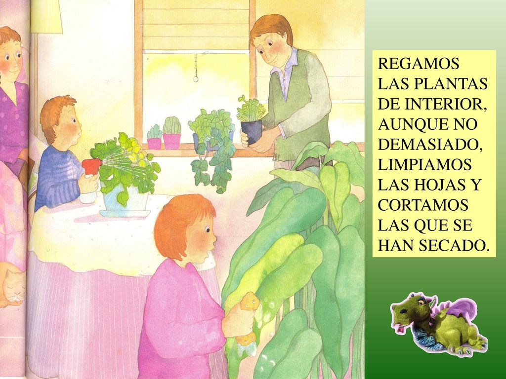 REGAMOS LAS PLANTAS DE INTERIOR, AUNQUE NO DEMASIADO, LIMPIAMOS LAS HOJAS Y CORTAMOS LAS QUE SE HAN SECADO.