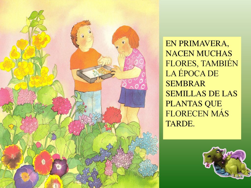 EN PRIMAVERA, NACEN MUCHAS FLORES, TAMBIÉN LA ÉPOCA DE SEMBRAR SEMILLAS DE LAS PLANTAS QUE FLORECEN MÁS TARDE.