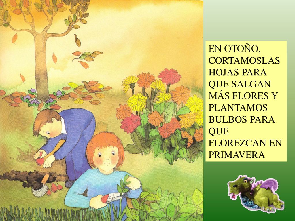 EN OTOÑO, CORTAMOSLAS HOJAS PARA QUE SALGAN MÁS FLORES Y PLANTAMOS BULBOS PARA QUE FLOREZCAN EN PRIMAVERA