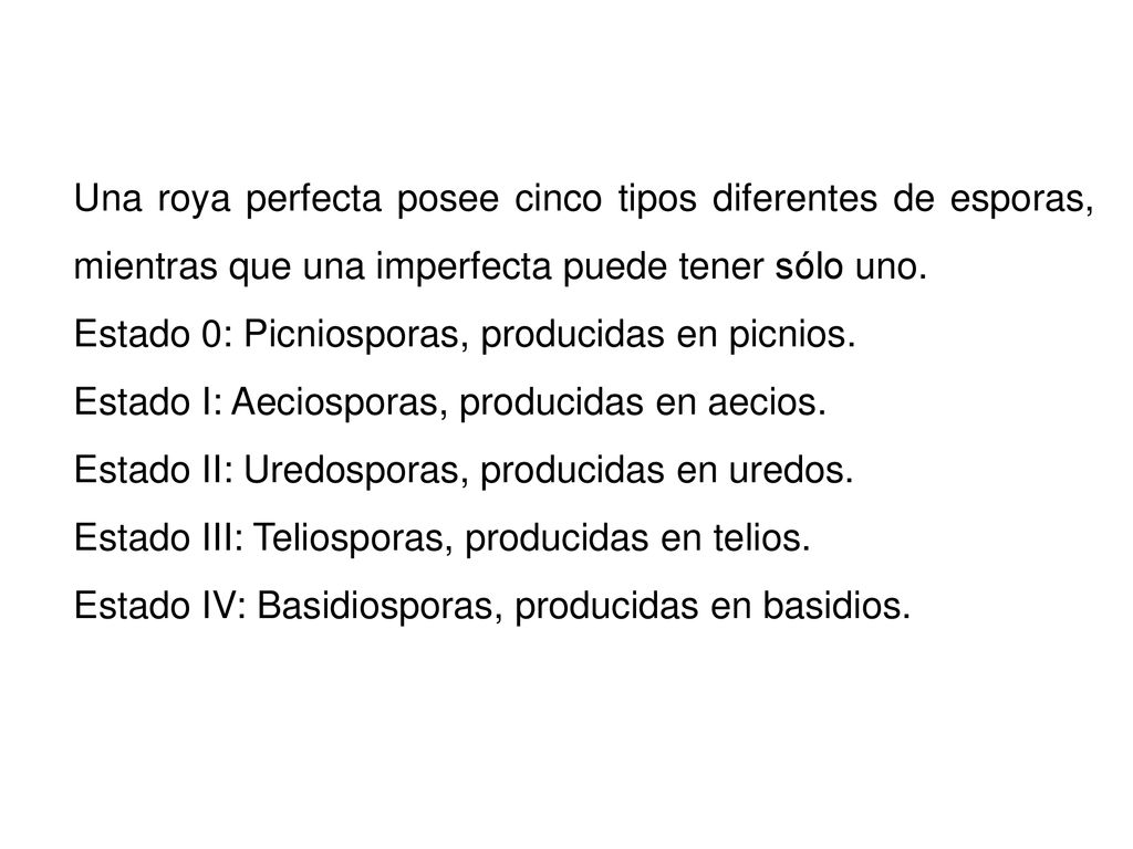 Una roya perfecta posee cinco tipos diferentes de esporas, mientras que una imperfecta puede tener sólo uno.