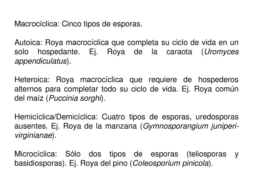 Macrocíclica: Cinco tipos de esporas.