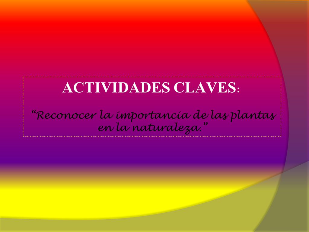 Reconocer la importancia de las plantas en la naturaleza.