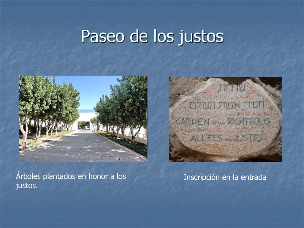 Paseo de los justos Árboles plantados en honor a los justos.
