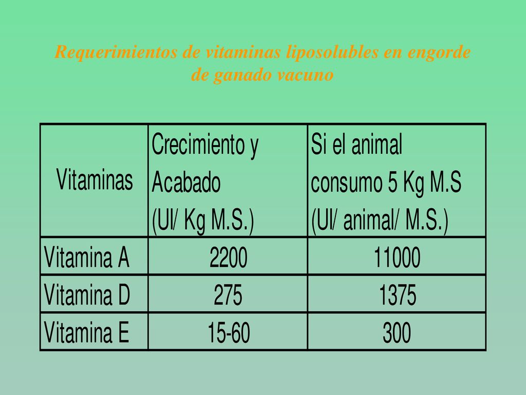 Requerimientos de vitaminas liposolubles en engorde de ganado vacuno