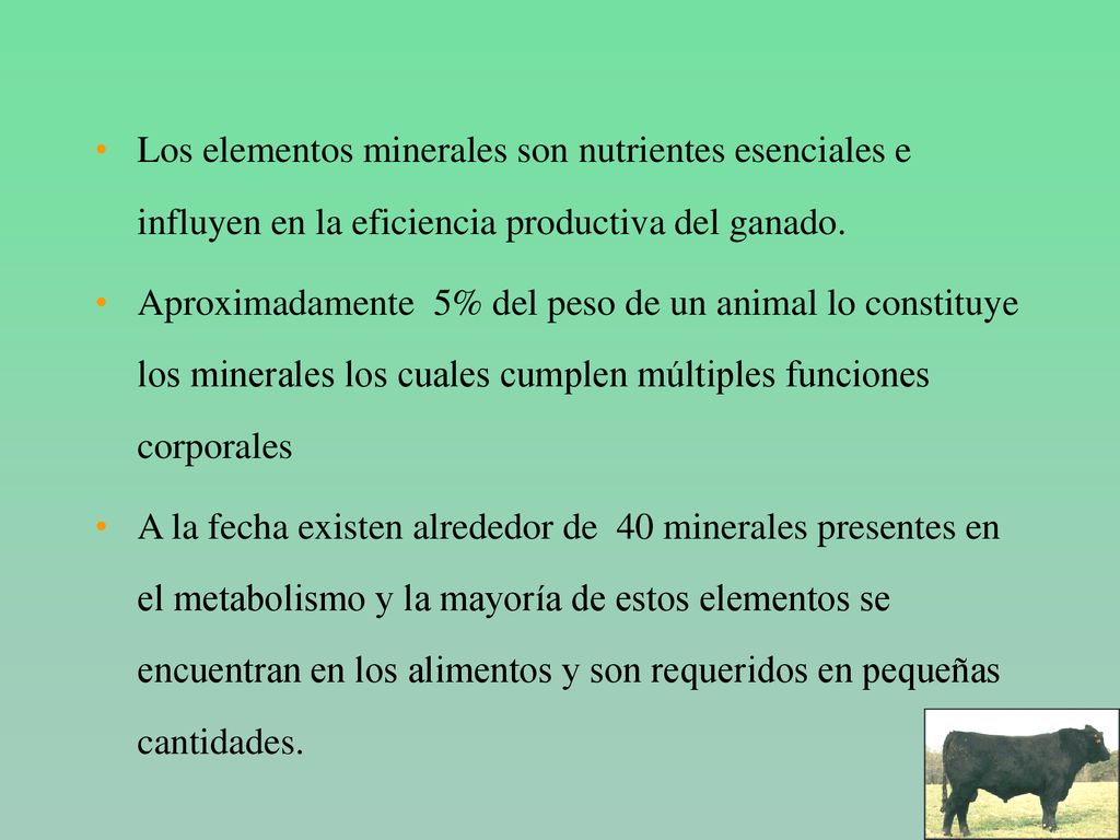 Los elementos minerales son nutrientes esenciales e influyen en la eficiencia productiva del ganado.