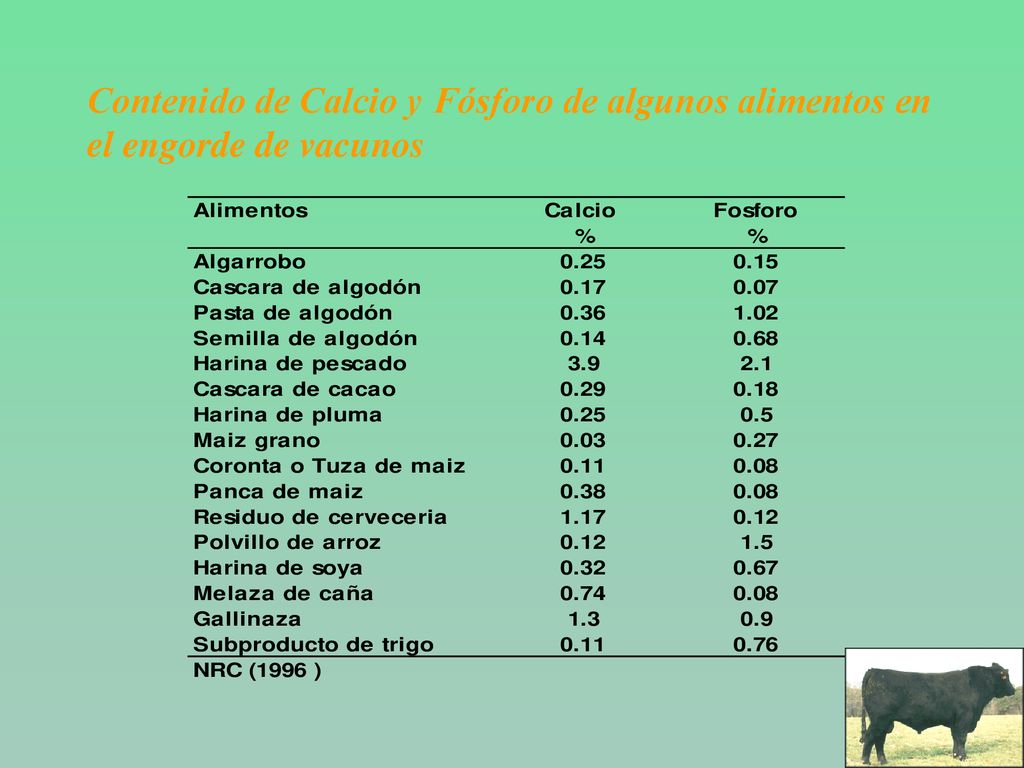 Contenido de Calcio y Fósforo de algunos alimentos en el engorde de vacunos