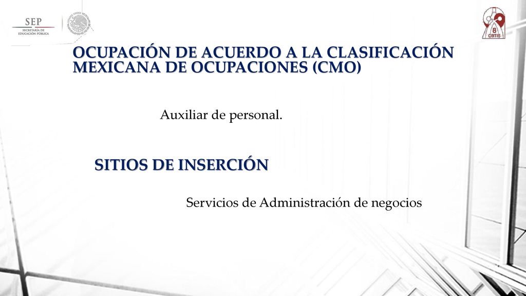OCUPACIÓN DE ACUERDO A LA CLASIFICACIÓN MEXICANA DE OCUPACIONES (CMO)