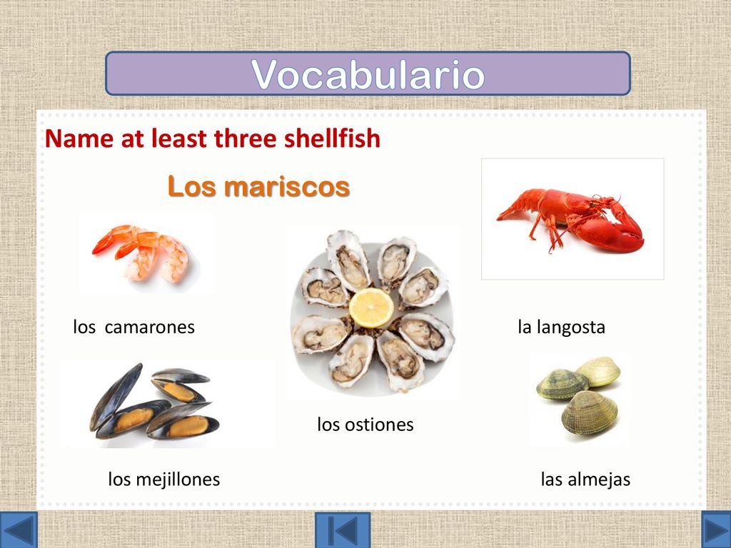 Vocabulario Name at least three shellfish. Los mariscos los ostiones