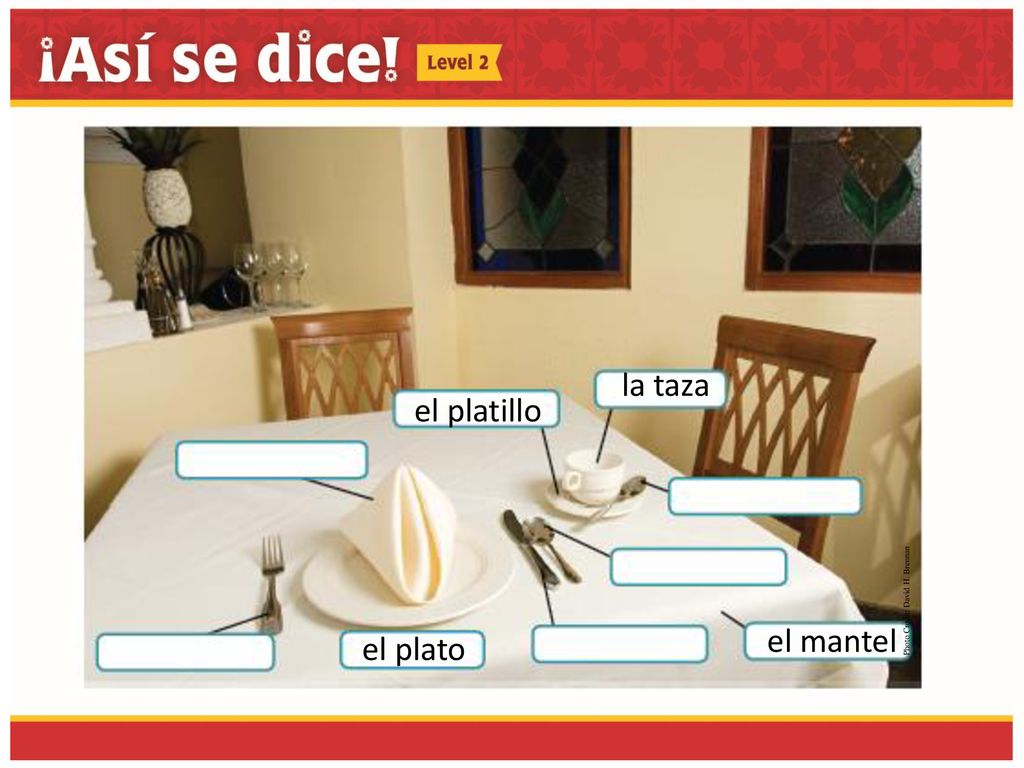 la taza el platillo Photo Credit: David H. Brennan el mantel el plato