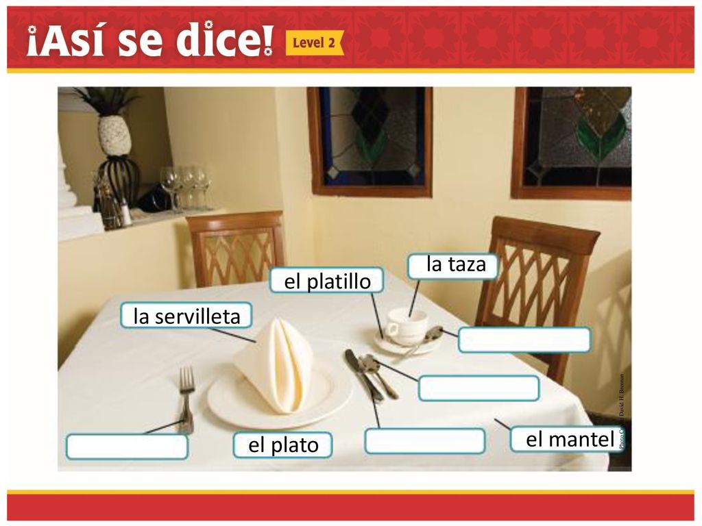 la taza el platillo la servilleta el mantel el plato