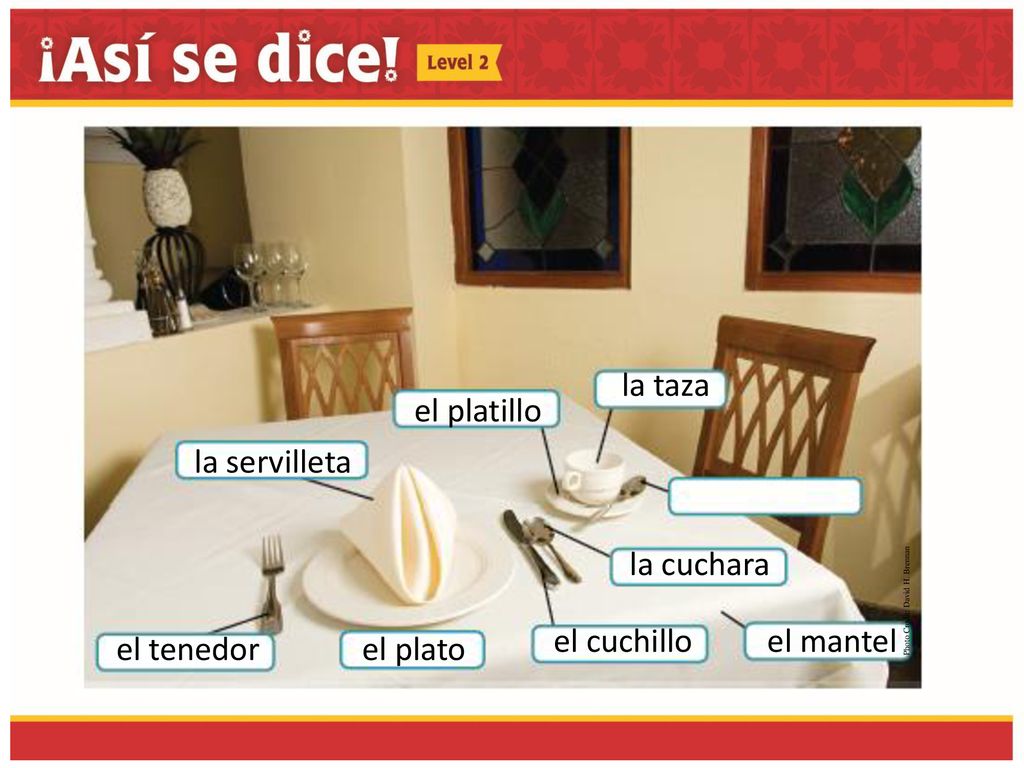 la taza el platillo la servilleta la cuchara el cuchillo el mantel