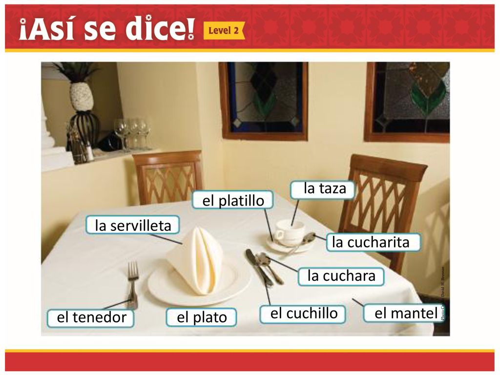 la taza el platillo la servilleta la cucharita la cuchara el cuchillo
