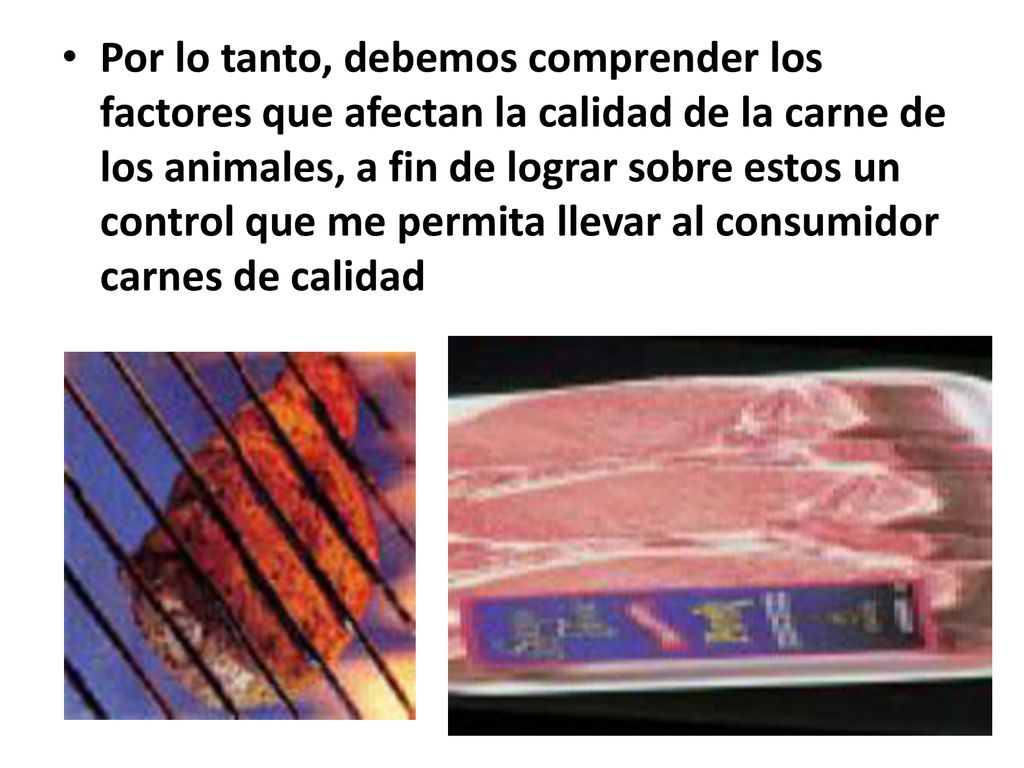 Por lo tanto, debemos comprender los factores que afectan la calidad de la carne de los animales, a fin de lograr sobre estos un control que me permita llevar al consumidor carnes de calidad