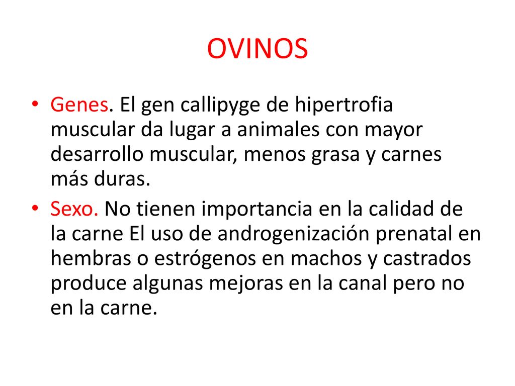 OVINOS Genes. El gen callipyge de hipertrofia muscular da lugar a animales con mayor desarrollo muscular, menos grasa y carnes más duras.