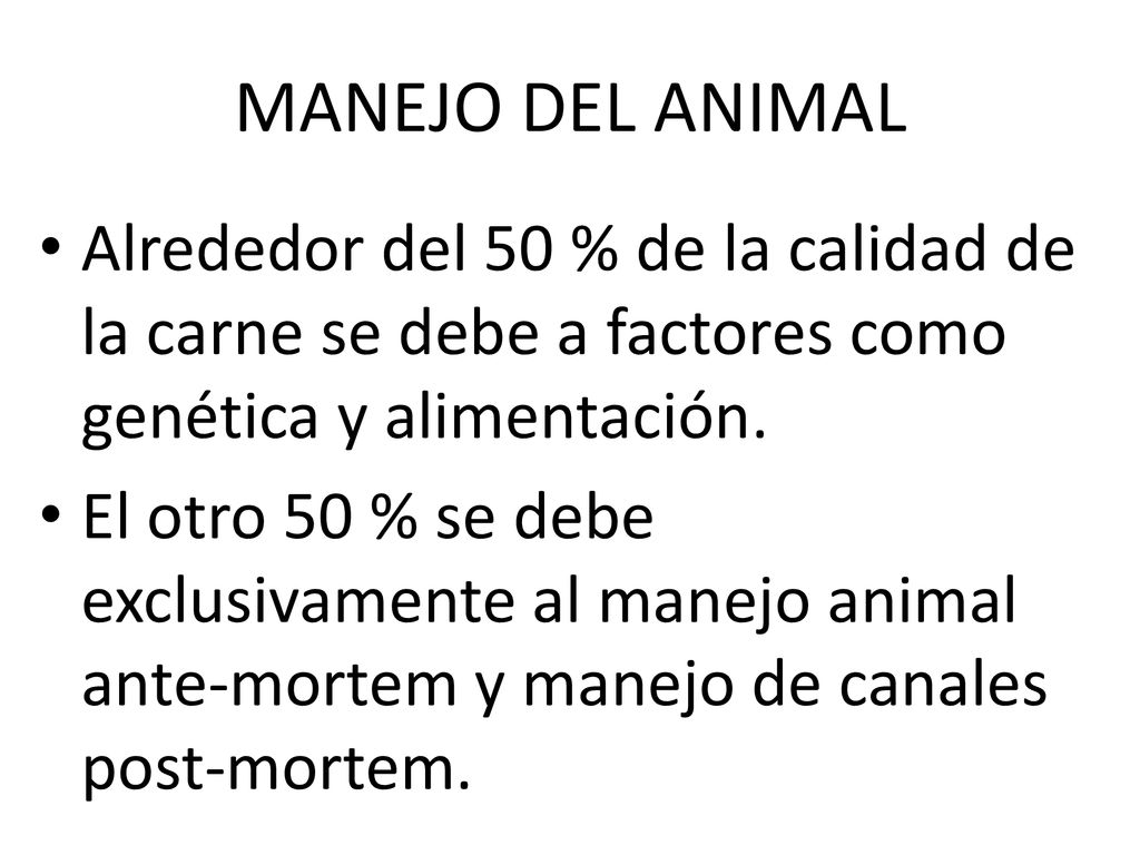 MANEJO DEL ANIMAL Alrededor del 50 % de la calidad de la carne se debe a factores como genética y alimentación.