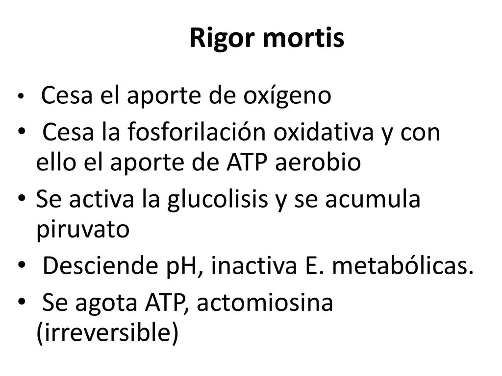 Rigor mortis Cesa el aporte de oxígeno. Cesa la fosforilación oxidativa y con ello el aporte de ATP aerobio.