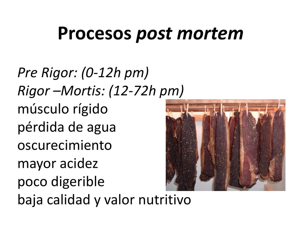 Procesos post mortem Pre Rigor: (0‐12h pm) Rigor –Mortis: (12‐72h pm)