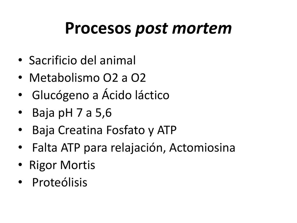 Procesos post mortem Sacrificio del animal Metabolismo O2 a O2