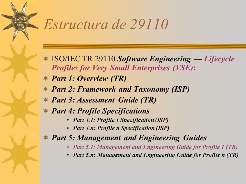 Estructura de ISO/IEC TR Software Engineering — Lifecycle Profiles for Very Small Enterprises (VSE):
