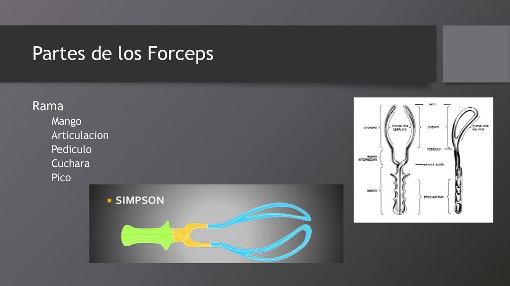 Partes de los Forceps Rama Mango Articulacion Pediculo Cuchara Pico