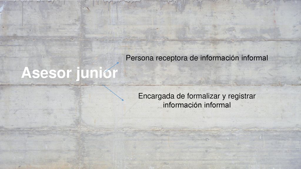 Asesor junior Persona receptora de información informal