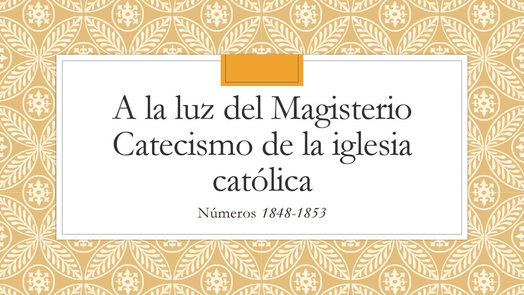 A la luz del Magisterio Catecismo de la iglesia católica