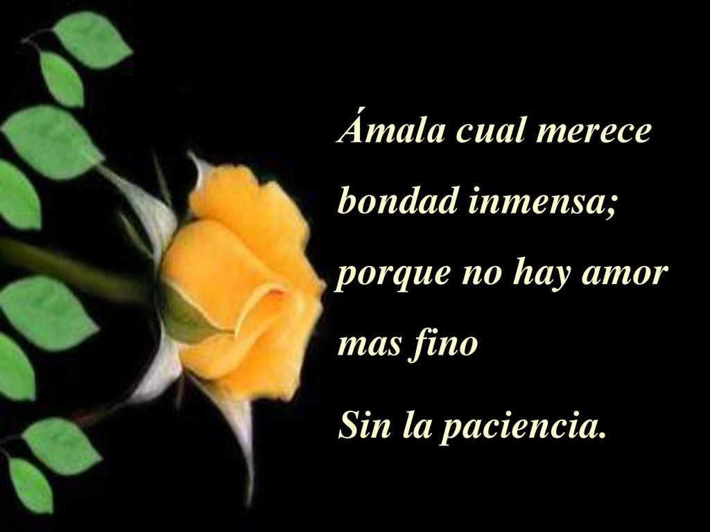 Ámala cual merece bondad inmensa; porque no hay amor mas fino Sin la paciencia.