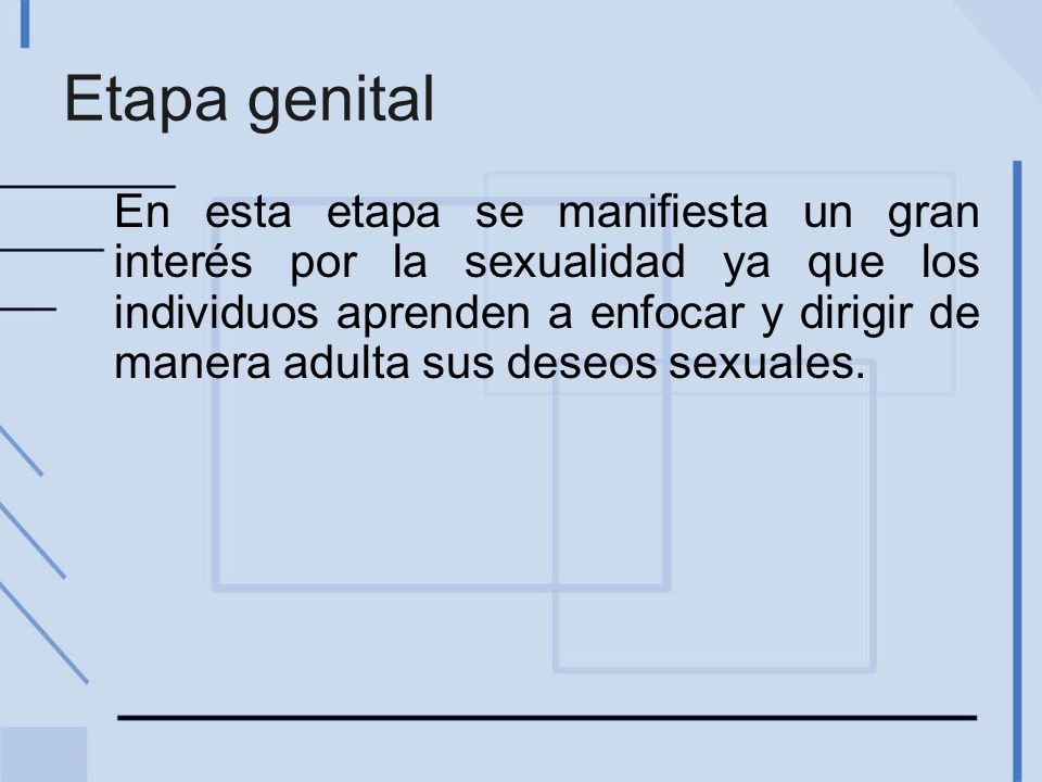 Etapa genital