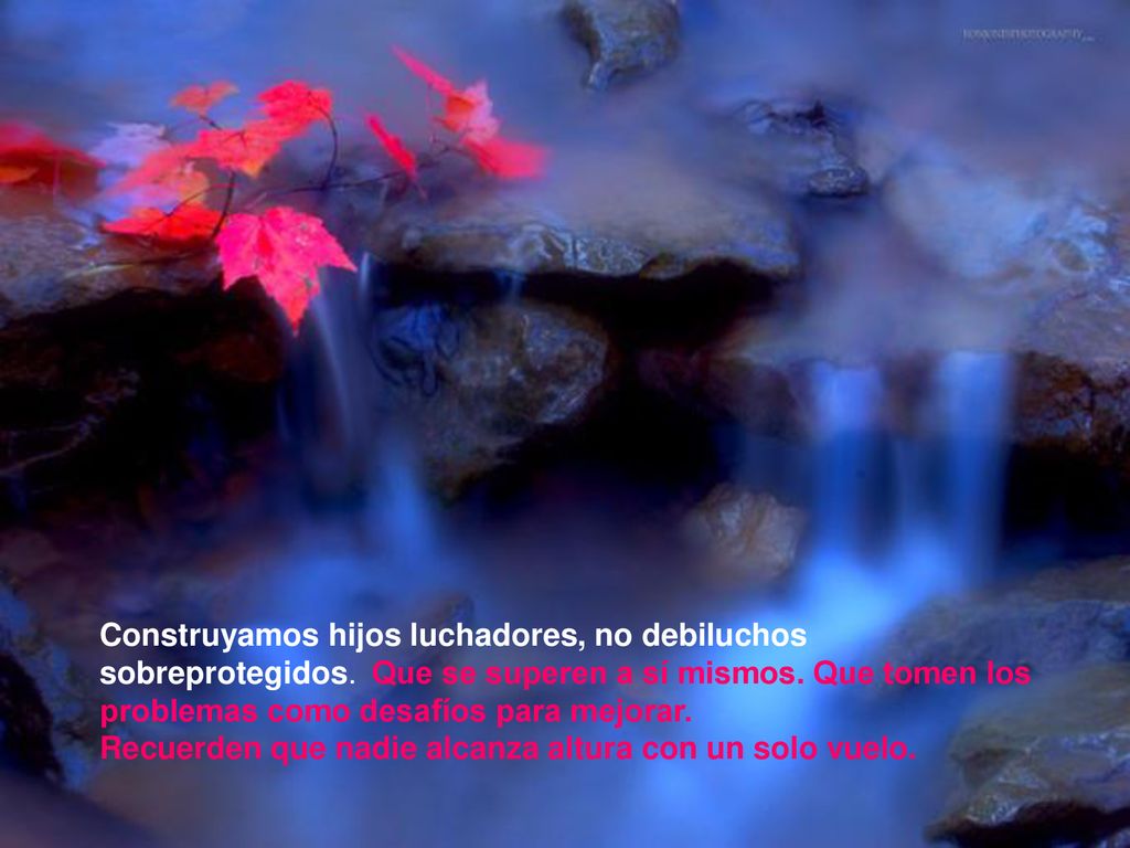 Construyamos hijos luchadores, no debiluchos sobreprotegidos. Que se superen a sí mismos. Que tomen los problemas como desafíos para mejorar.