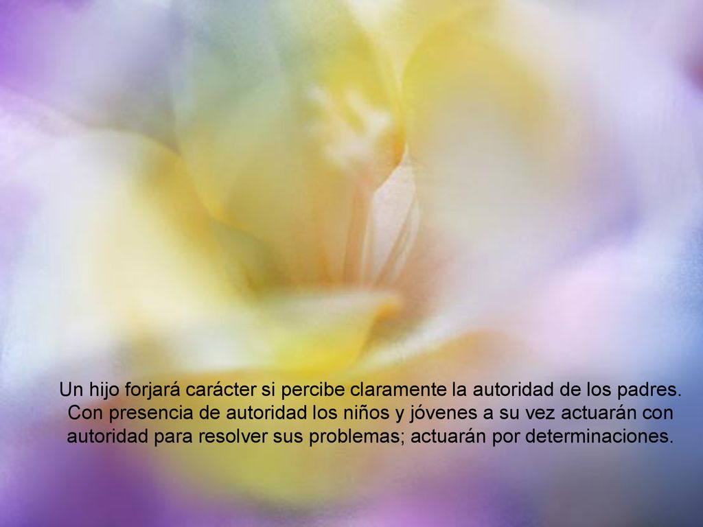 Un hijo forjará carácter si percibe claramente la autoridad de los padres.