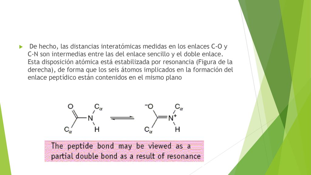 De hecho, las distancias interatómicas medidas en los enlaces C-O y C-N son intermedias entre las del enlace sencillo y el doble enlace.