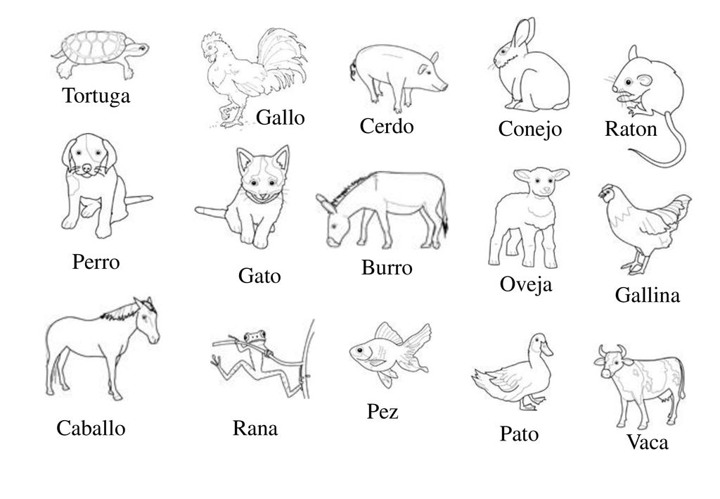 Tortuga Gallo Cerdo Conejo Raton Perro Burro Gato Oveja Gallina Pez Caballo Rana Pato Vaca