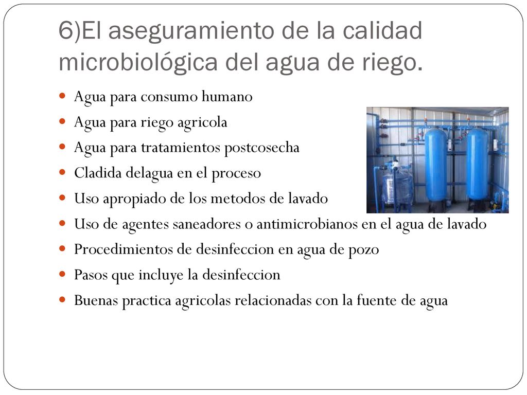 6)El aseguramiento de la calidad microbiológica del agua de riego.