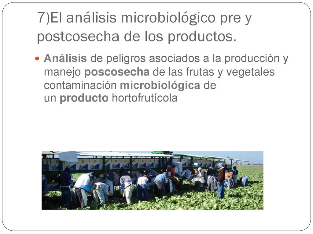 7)El análisis microbiológico pre y postcosecha de los productos.