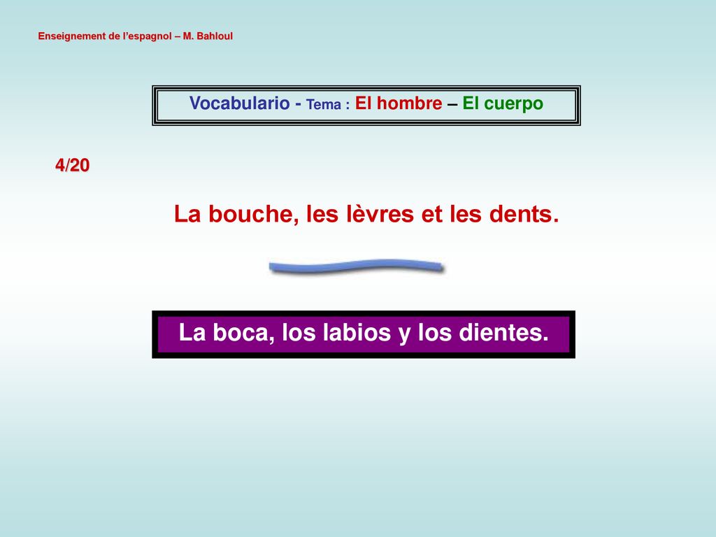 La bouche, les lèvres et les dents. La boca, los labios y los dientes.