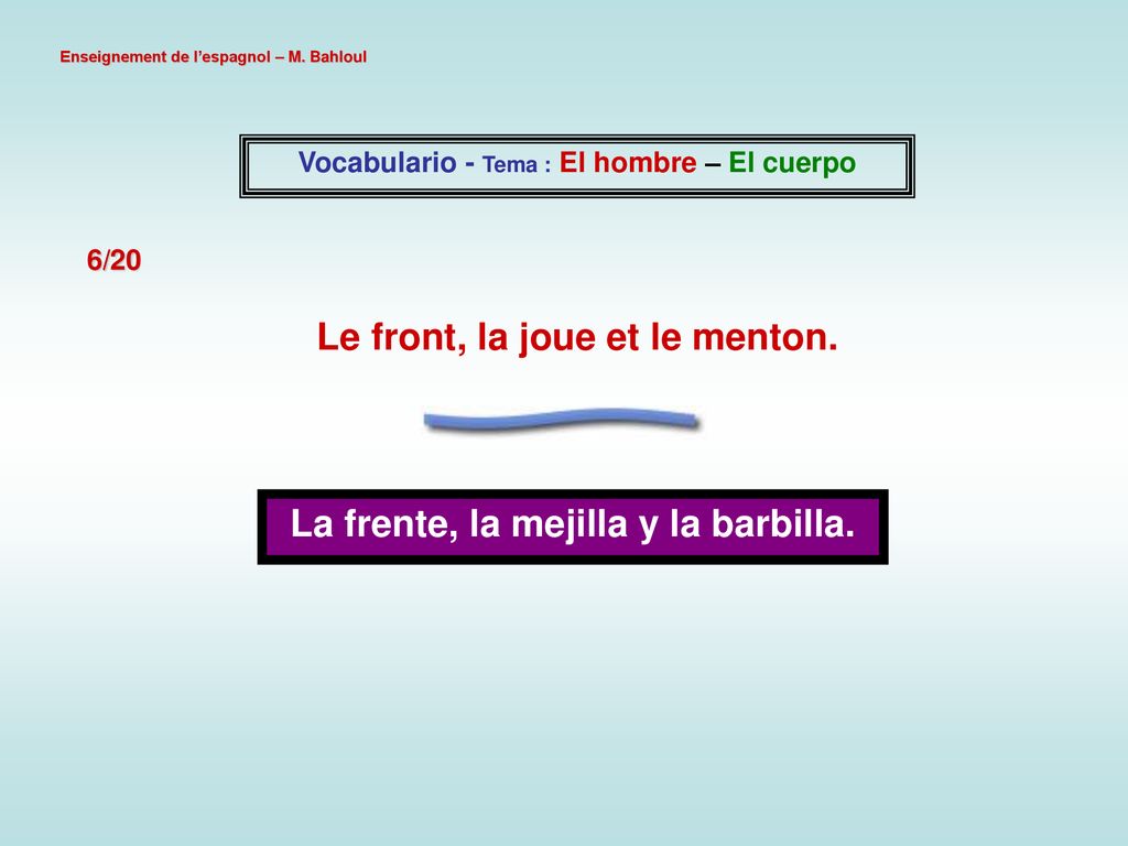 Le front, la joue et le menton. La frente, la mejilla y la barbilla.