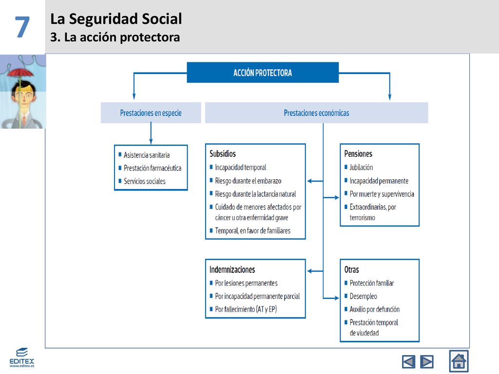 7 La Seguridad Social 3. La acción protectora Banda Superior