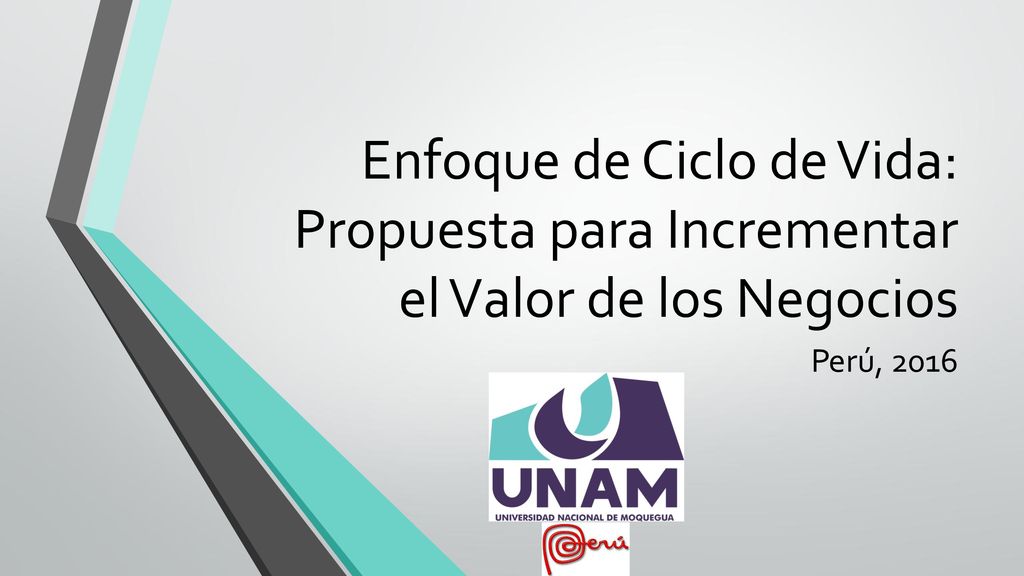 Enfoque de Ciclo de Vida: Propuesta para Incrementar el Valor de los Negocios