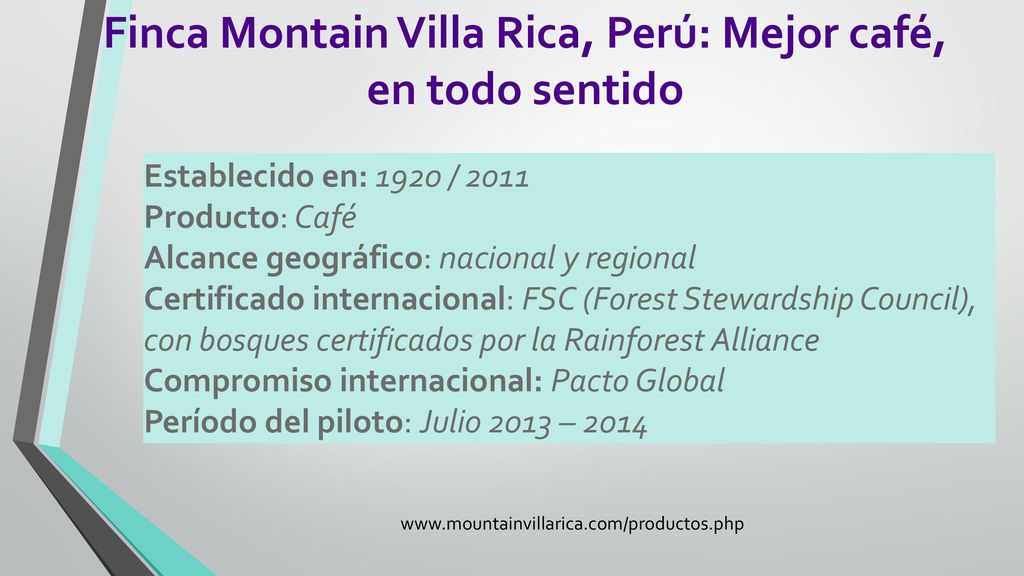 Finca Montain Villa Rica, Perú: Mejor café, en todo sentido