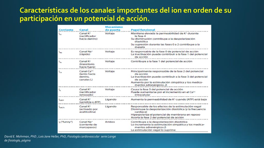 Características de los canales importantes del ion en orden de su participación en un potencial de acción.
