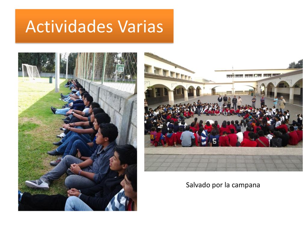 Actividades Varias Salvado por la campana Salvado por la campana