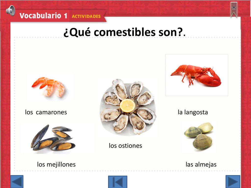 ¿Qué comestibles son . los ostiones los mejillones las almejas
