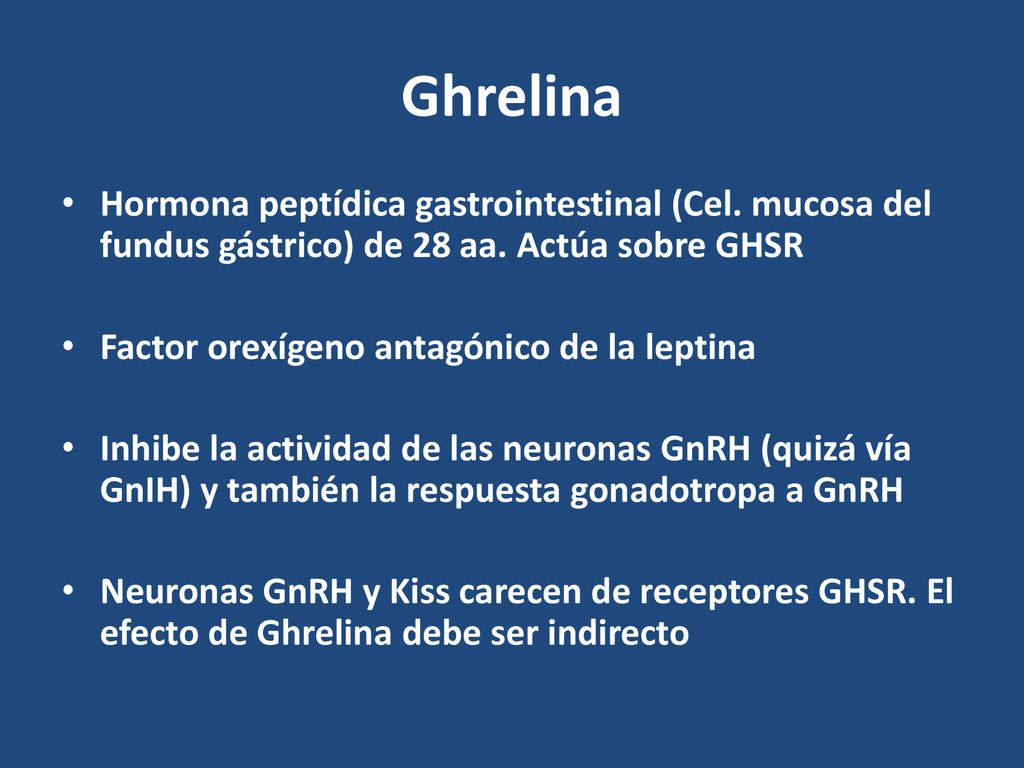 Ghrelina Hormona peptídica gastrointestinal (Cel. mucosa del fundus gástrico) de 28 aa. Actúa sobre GHSR.